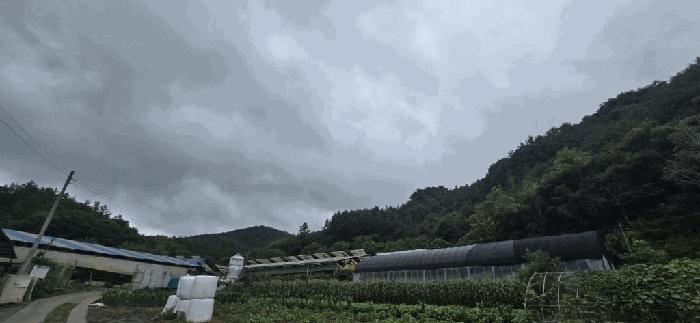 제천시 두학동 산49-2 임야 경매 물건 사진
