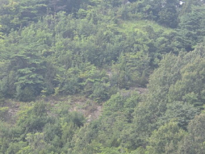 제천시 수산면 내리 전 경매 물건 사진