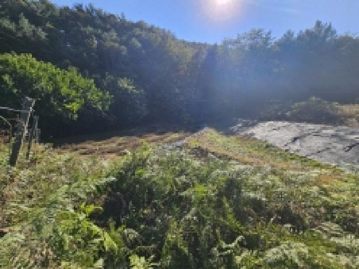 단양군 단성면 회산리 전 경매 물건 사진