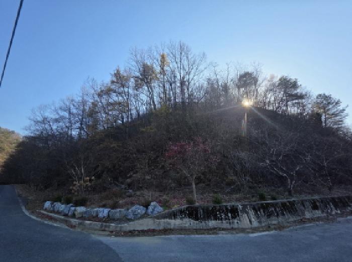 제천시 수산면 지곡리 임야 경매 물건 사진