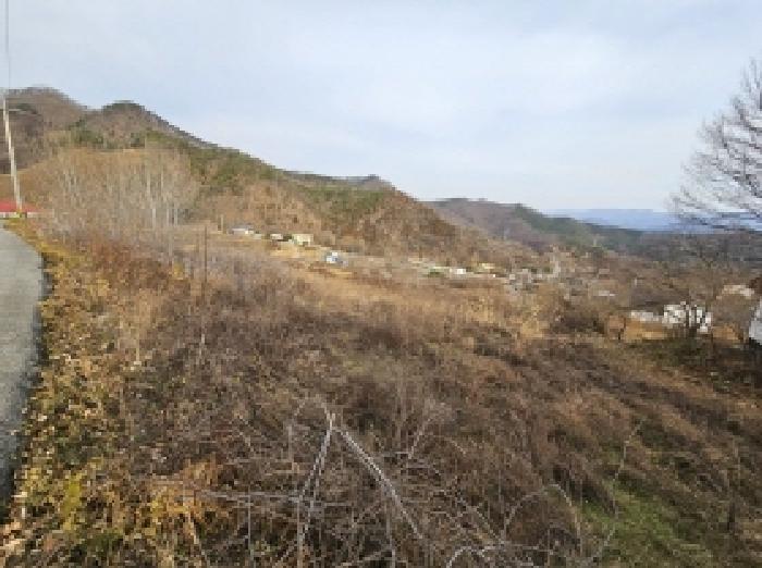 단양군 적성면 상리 전답 경매 물건 사진
