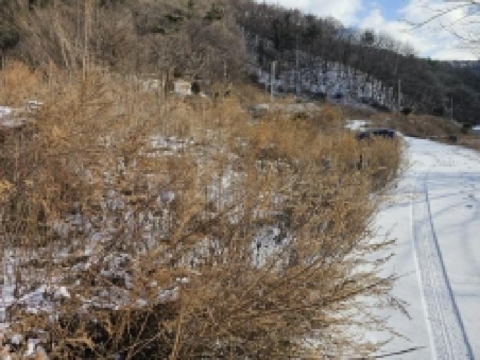 단양군 대강면 덕촌리 전답 경매 물건 사진