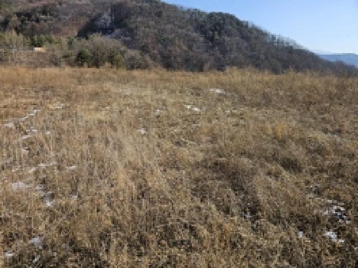 단양군 적성면 상리 전 경매 물건 사진