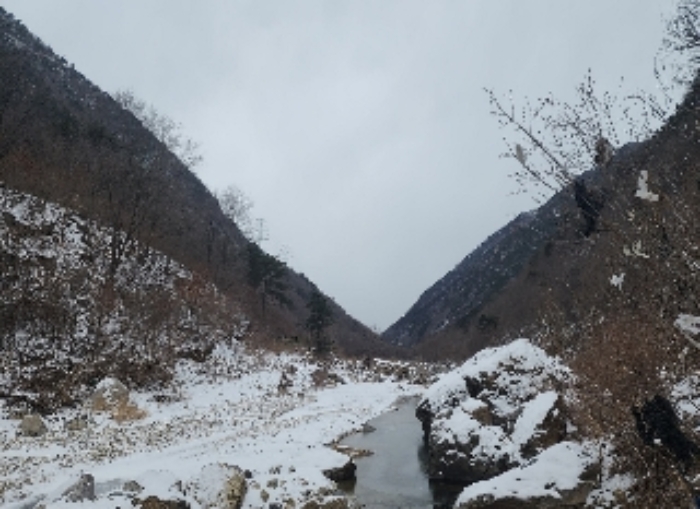 옥천군 군서면 금산리 전 경매 물건 사진