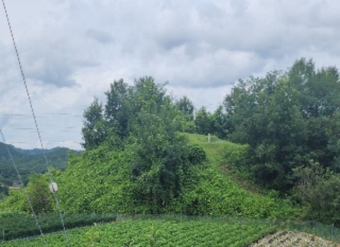 영동군 용산면 구촌리 전 경매 물건 사진