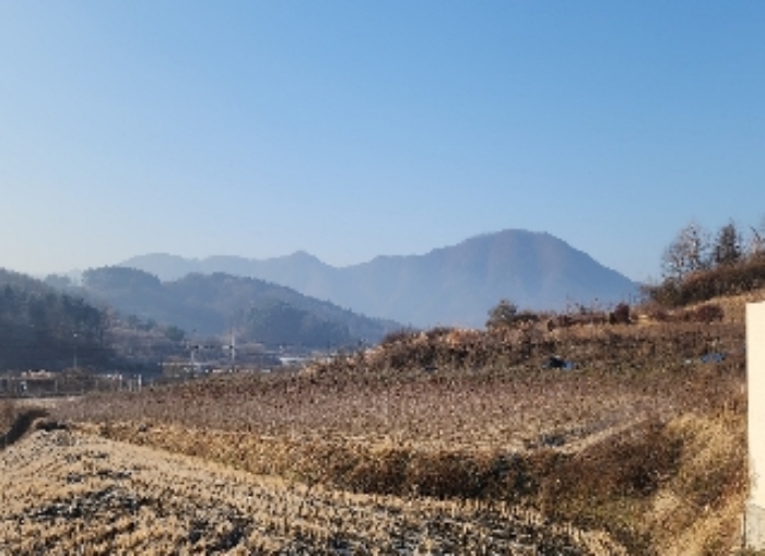 옥천군 이원면 지탄리 전답 경매 물건 사진