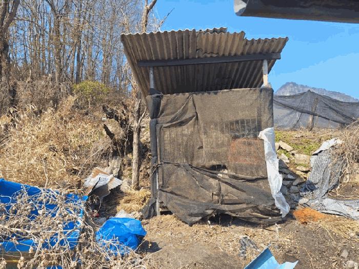 옥천군 청산면 백운리 단독주택 경매 물건 사진