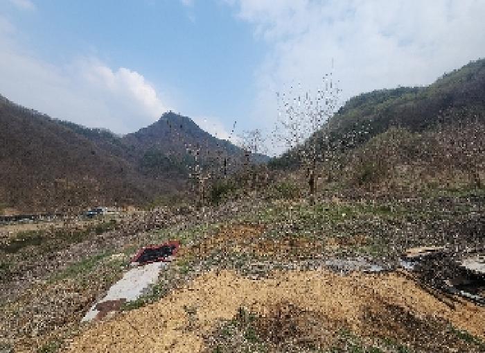 영동군 용산면 한석리 과수원 경매 물건 사진