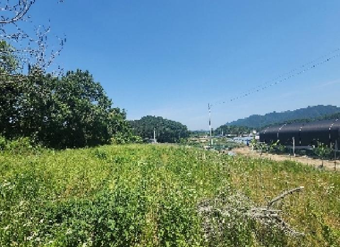 옥천군 동이면 금암리 전 경매 물건 사진