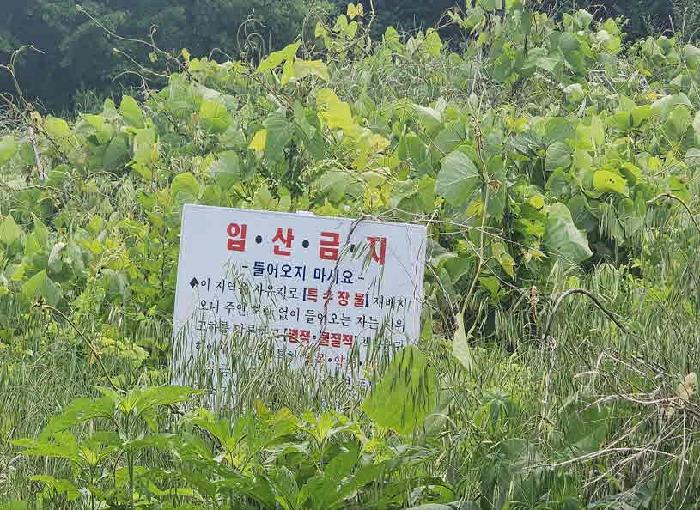 옥천군 군북면 증약리 답 경매 물건 사진