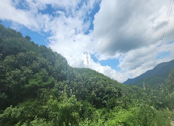 영동군 영동읍 당곡리 답 경매 물건 사진
