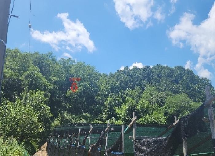 옥천군 청성면 장수리 전답 경매 물건 사진