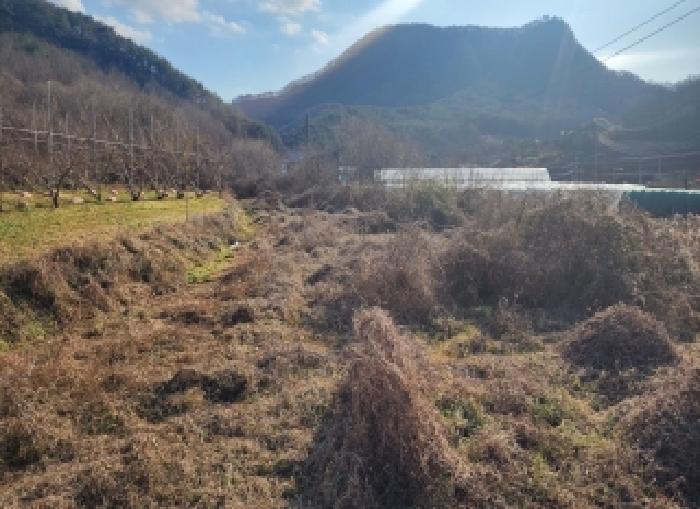 영동군 용산면 율리 전답 경매 물건 사진