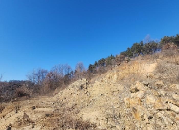 옥천군 동이면 남곡리 대지,임야,전답 경매 물건 사진