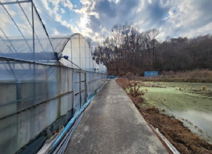 옥천군 동이면 세산리 과수원 경매 물건 사진