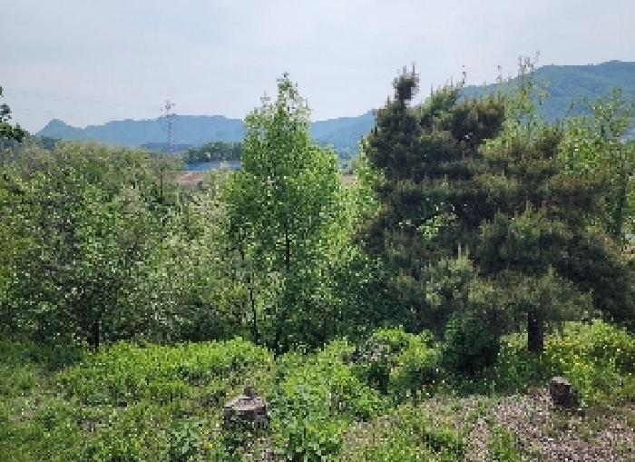 옥천군 청성면 능월리 전 경매 물건 사진