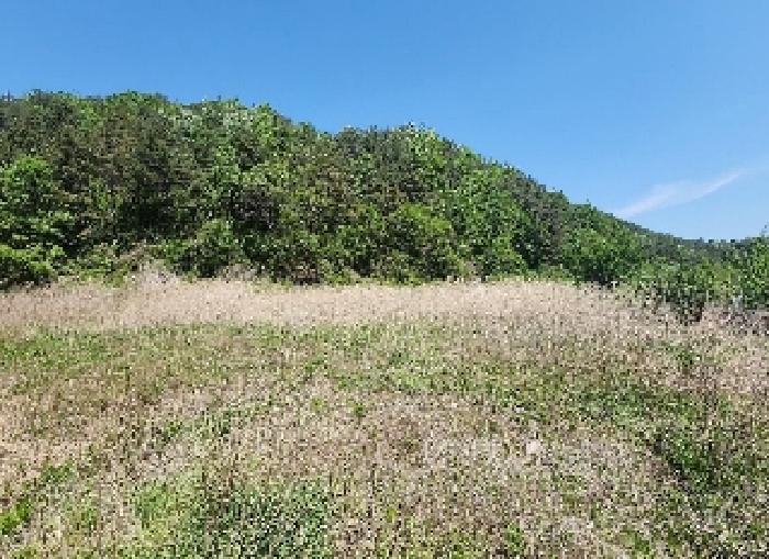 영동군 학산면 지내리 답 경매 물건 사진