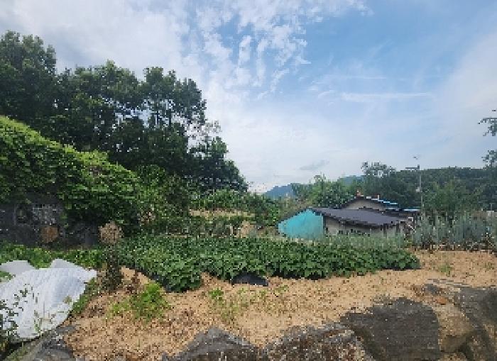옥천군 동이면 남곡리 임야 경매 물건 사진