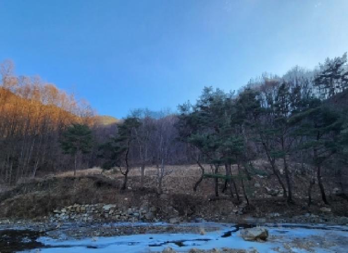 영동군 용화면 안정리 전답 경매 물건 사진