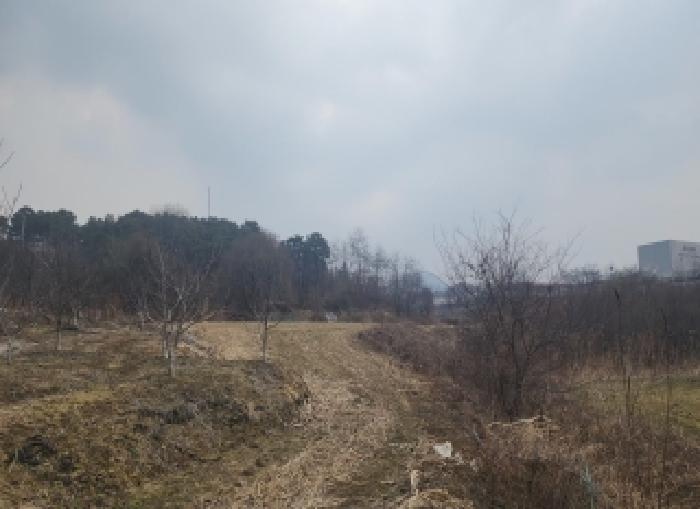옥천군 옥천읍 문정리 전답 경매 물건 사진