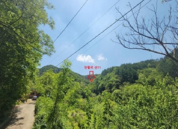 옥천군 청산면 만월리 임야 경매 물건 사진