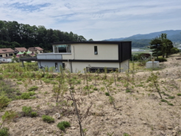 금남면 대박리 산62 대지,임야,전답 경매 물건 사진