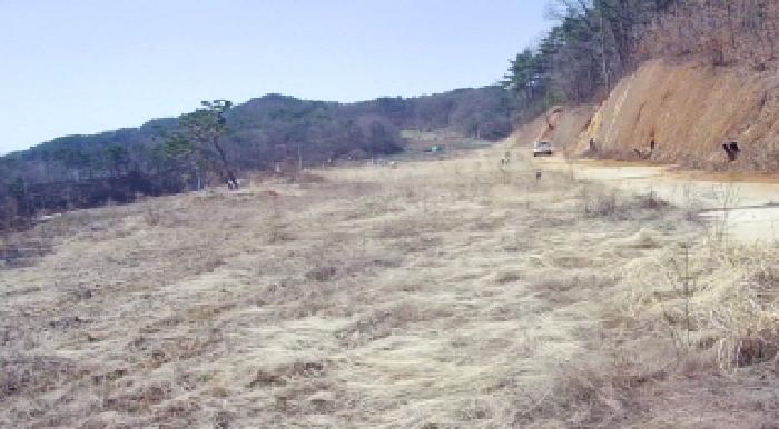 장군면 송학리 253-3 도로 경매 물건 사진