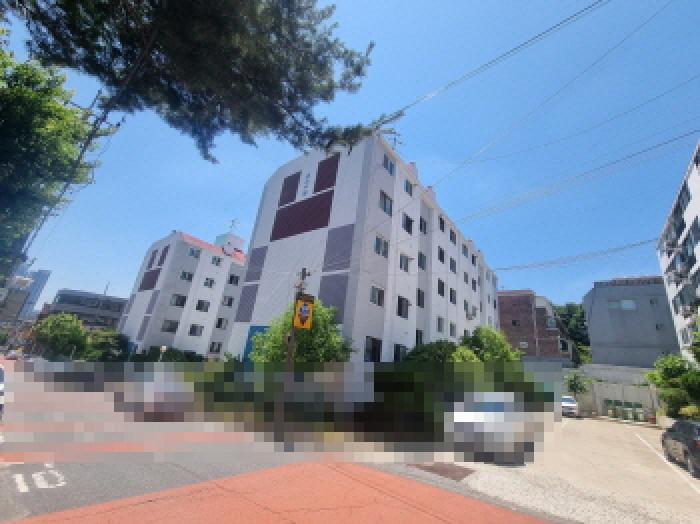 대덕구 송촌동 219-3 아파트 경매 물건 사진