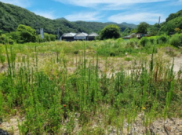 서구 흑석동 465-1 답 경매 물건 사진