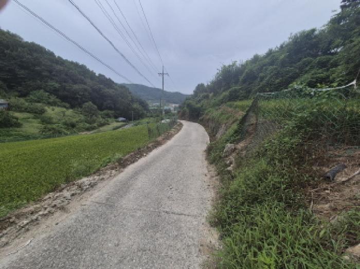 부강면 문곡리 777 답 경매 물건 사진