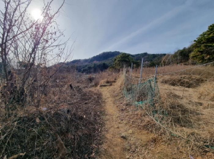 중구 석교동 248-43 임야 경매 물건 사진