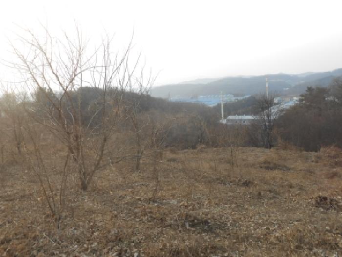 전의면 관정리 산104-3 대지,임야,전답 경매 물건 사진