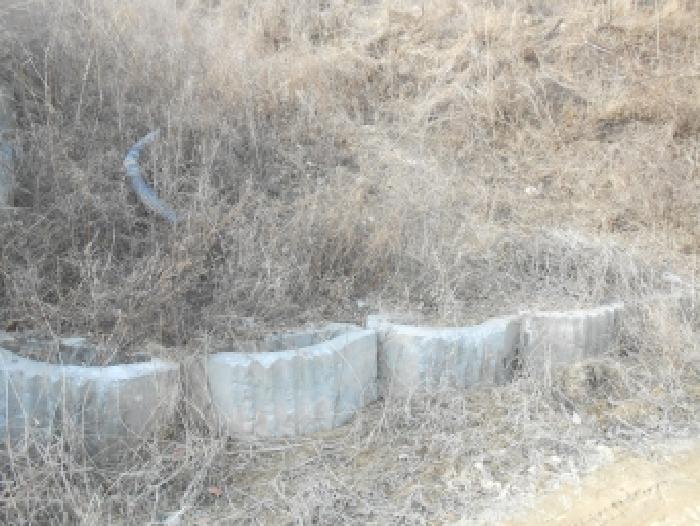 연기면 수산리 589-5 도로 경매 물건 사진