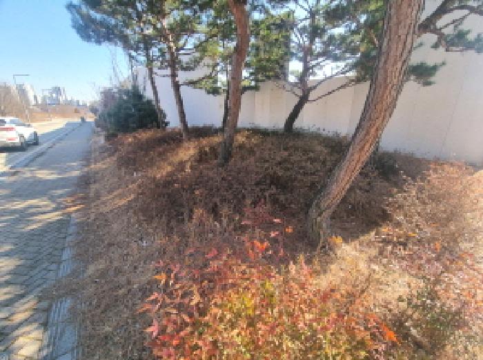 고운동 893-33 공원 경매 물건 사진