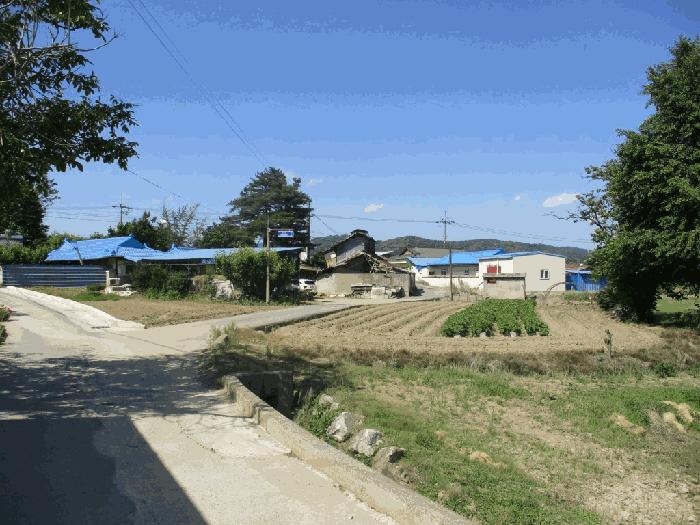 전동면 보덕리 388-5 답 경매 물건 사진