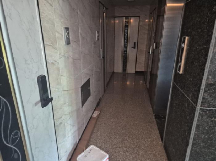 장군면 도계리 272-7 다가구주택 경매 물건 사진