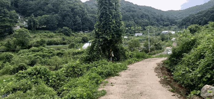 전의면 양곡리 134-1 답 경매 물건 사진