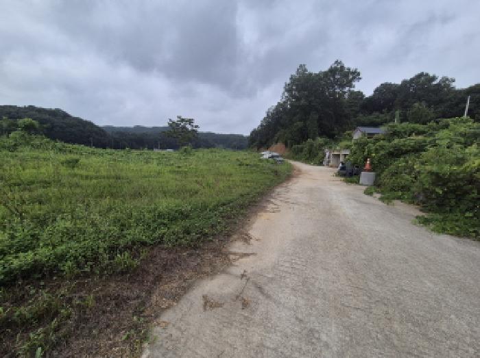 장군면 송학리 250 도로 경매 물건 사진