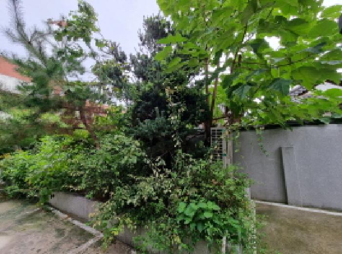 서구 탄방동 64-7 다가구주택 경매 물건 사진