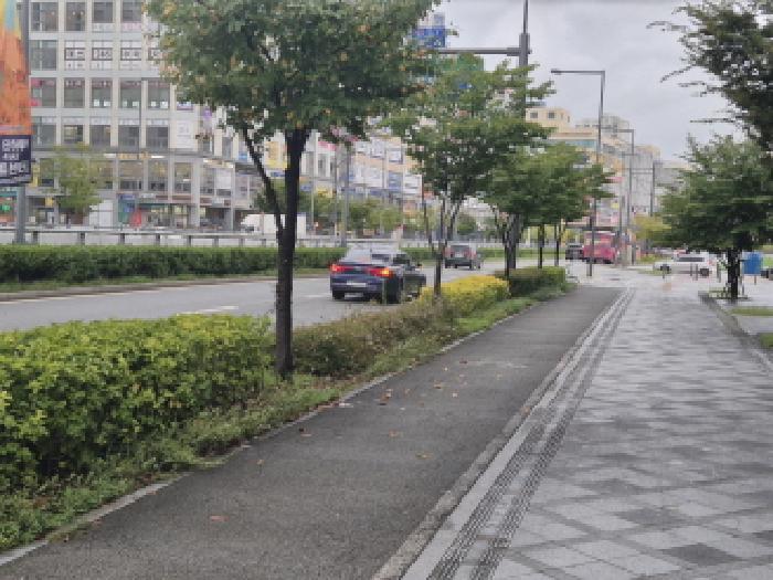 나성동 768 르네상스 근린생활시설 경매 물건 사진