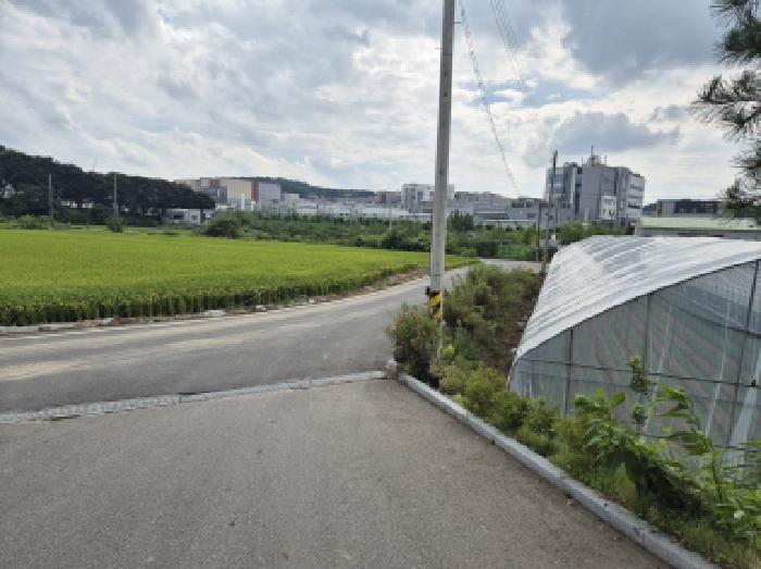 연동면 내판리 116 대지 경매 물건 사진