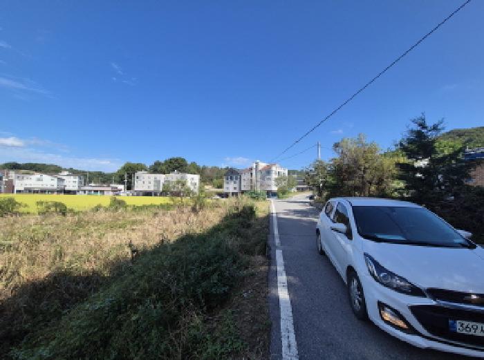 장군면 봉안리 311 대지 경매 물건 사진