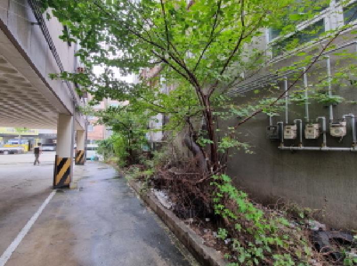 서구 용문동 272-10 주/상용건물 경매 물건 사진