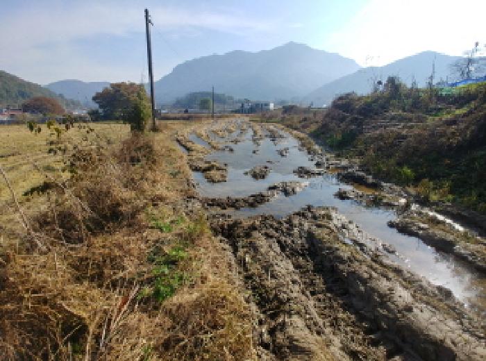 금산군 추부면 성당리 답 경매 물건 사진