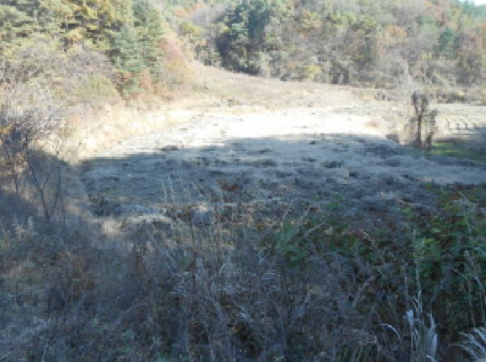 연서면 고복리 89 답 경매 물건 사진