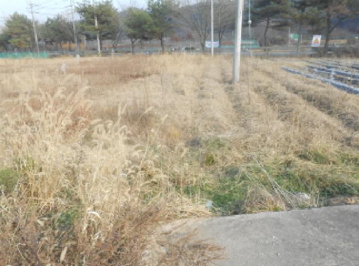 전의면 신흥리 130-15 전 경매 물건 사진