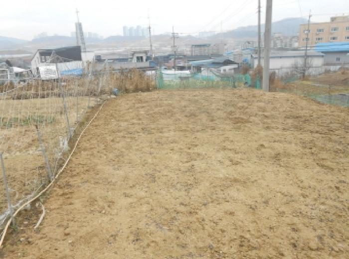 연기면 연기리 357-1 전답 경매 물건 사진