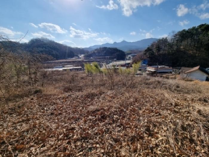 금산군 금산읍 하옥리 대지 경매 물건 사진