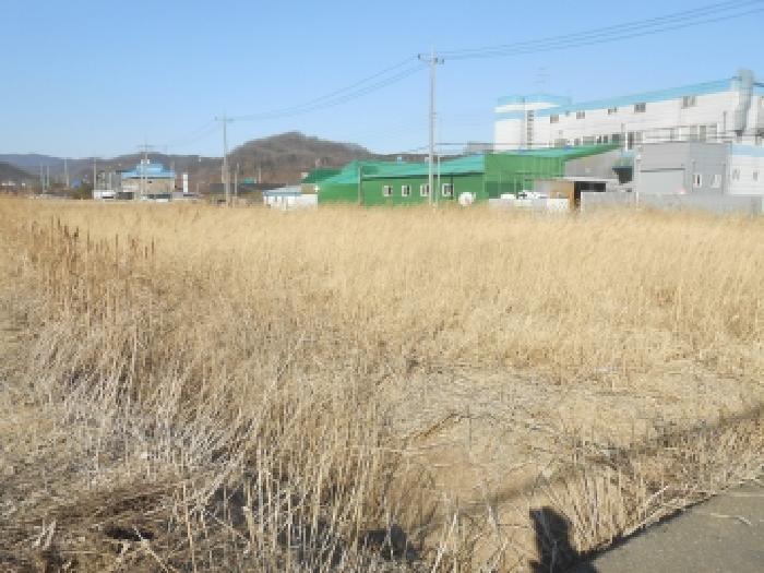 조치원읍 신안리 171-11 대지,임야,전답 경매 물건 사진