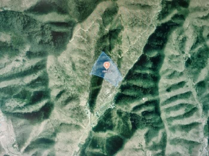 금산군 남이면 건천리 임야 경매 물건 사진
